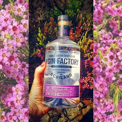 Beautiful Gin - Beautiful Surrounds😍
#gin #rosemary #capetown #scottish #beautiful #cocktail