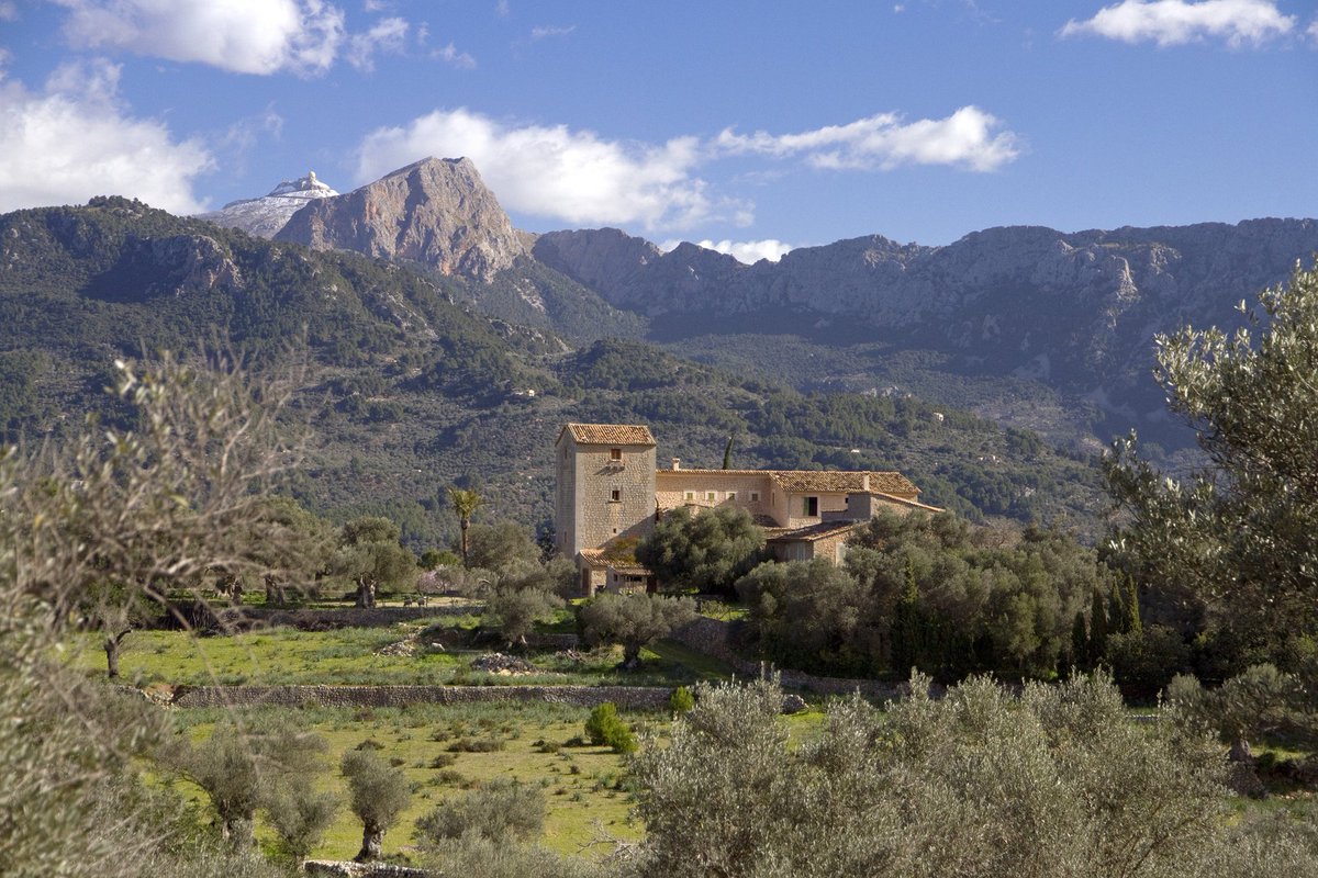 PedraSenderisme's tweet photo. Ruta de Pedra en Sec, paisatge i patrimoni. Muleta Gran.
#rutadepedraensec #mallorca #illesbalears #serradetramuntana #senderisme #senderismo #hiking #gr221 #muletagran #muleta https://t.co/Euhn75dHa5