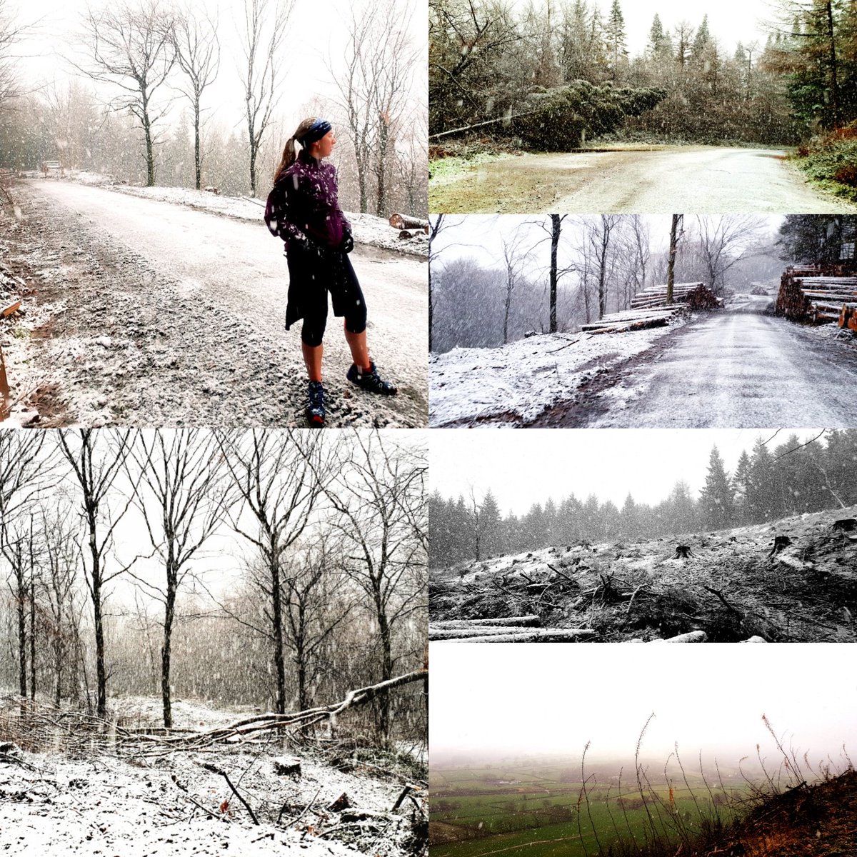 🏴󠁧󠁢󠁷󠁬󠁳󠁿 tweet media