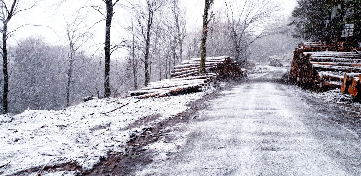 🏴󠁧󠁢󠁷󠁬󠁳󠁿 tweet media