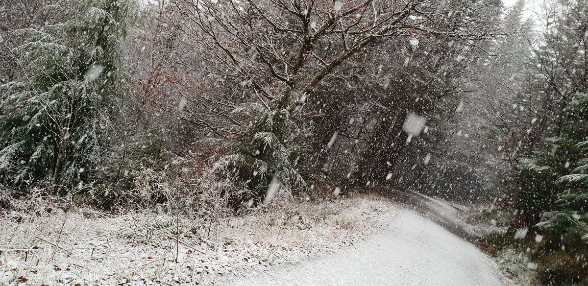 🏴󠁧󠁢󠁷󠁬󠁳󠁿 tweet media