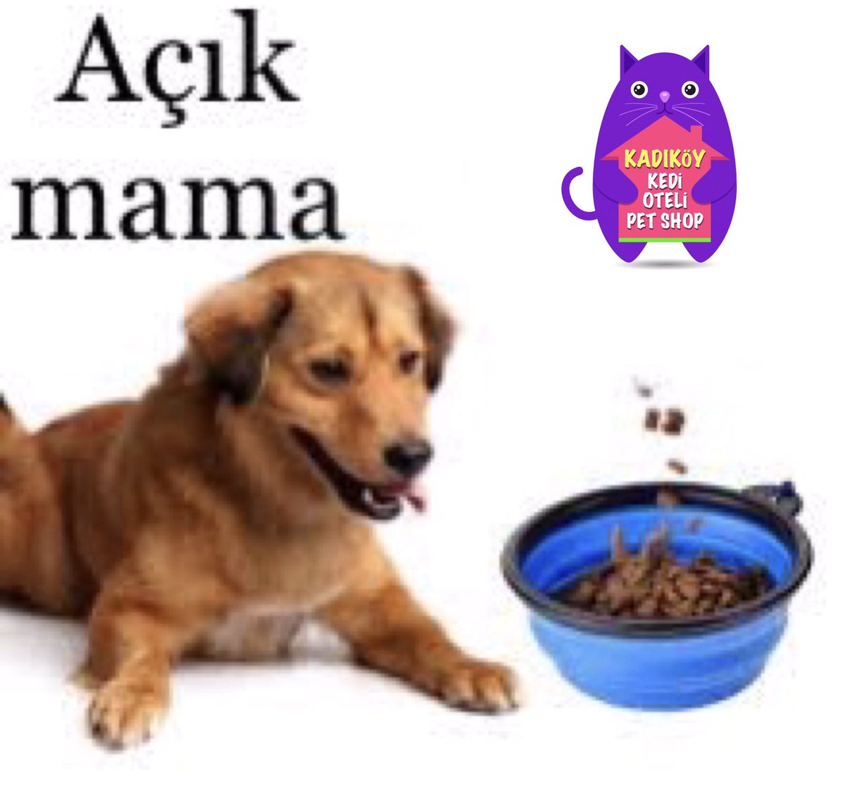 Açılışa özel fiyatlarla dostlarınızın tüm ihtiyacını karşılıyoruz ☺️