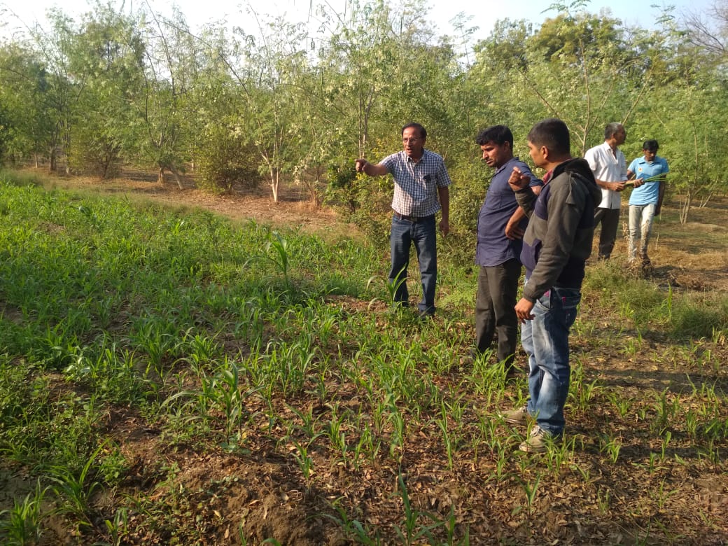 NavrachnaTrust's tweet photo. #SustainableAgriculture Project with #HuntsmanCsr...  Training and Onfield Demo Plot Inspection by Agriculture Expert from Anand Agriculture University.. https://t.co/jBF5ZrE7DZ