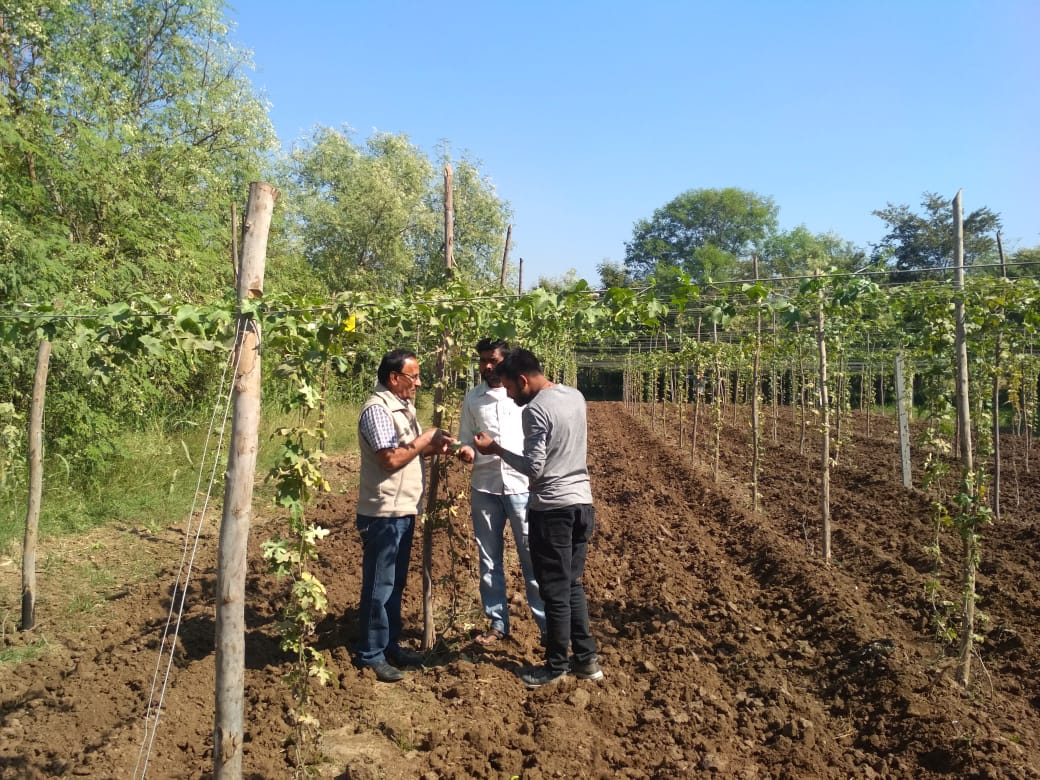 NavrachnaTrust's tweet photo. #SustainableAgriculture Project with #HuntsmanCsr...  Training and Onfield Demo Plot Inspection by Agriculture Expert from Anand Agriculture University.. https://t.co/jBF5ZrE7DZ