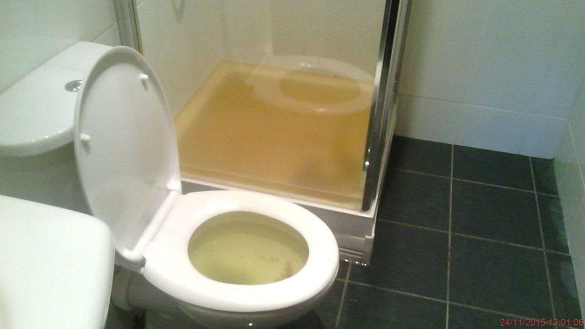 NorthumbrianH2O's tweet photo. Blocked sewers aren’t just a headache for us... it can affect you, your family and your friends too. Imagine having to deal with this in your home🤢.                             Howay people, only flush the #3Ps #loveyourdrain #TuesdayThoughts https://t.co/QpzjxhaYkf