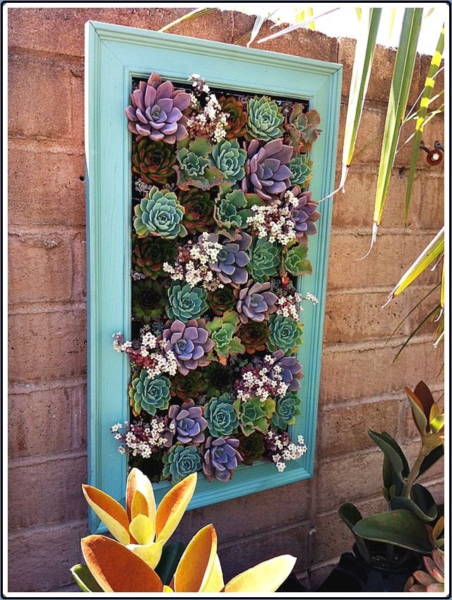 FrameRevival's tweet photo. Rather into ‘living’ frames right now. Great way to add colour any texture to walls especially if you’ve got a small garden. Not affected by Brexit ... currently #livingframe #greenframe #garden #spacesaving #brexitfree https://t.co/og1jGjCPm3