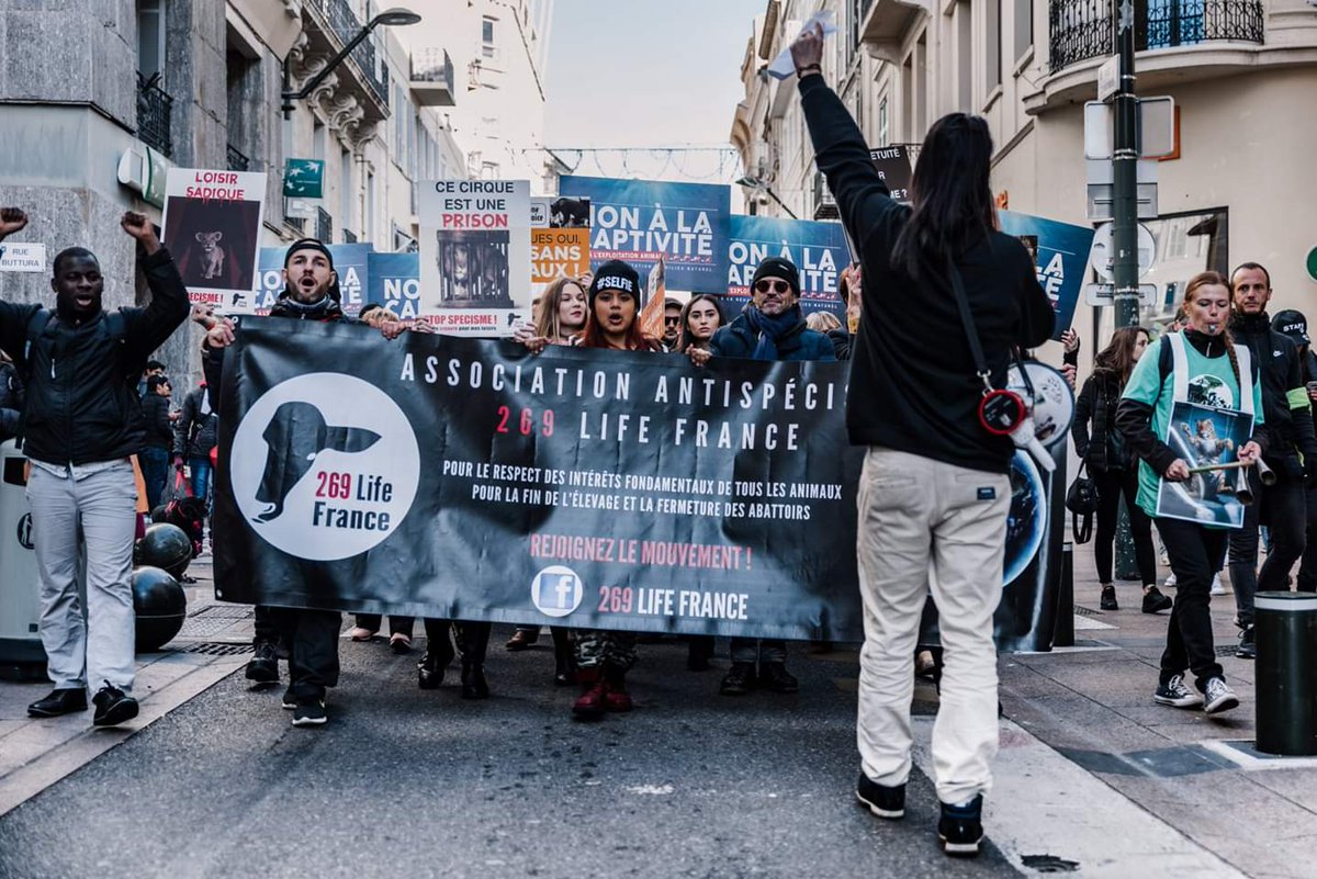 Veraunik's tweet photo. @ResTurner  Un énorme MERCI à Res Turner pour sa présence samedi à Cannes. Merci d'avoir apporté ta voix de maître pour nous accompagnez durant toute la marche ! Merci pr ton engagement, soutien et ta confiance !
#NonAuxCirquesAvecAnimaux
#BalanceTonCirque
#ResTurner https://t.co/YjWAjqHrRj