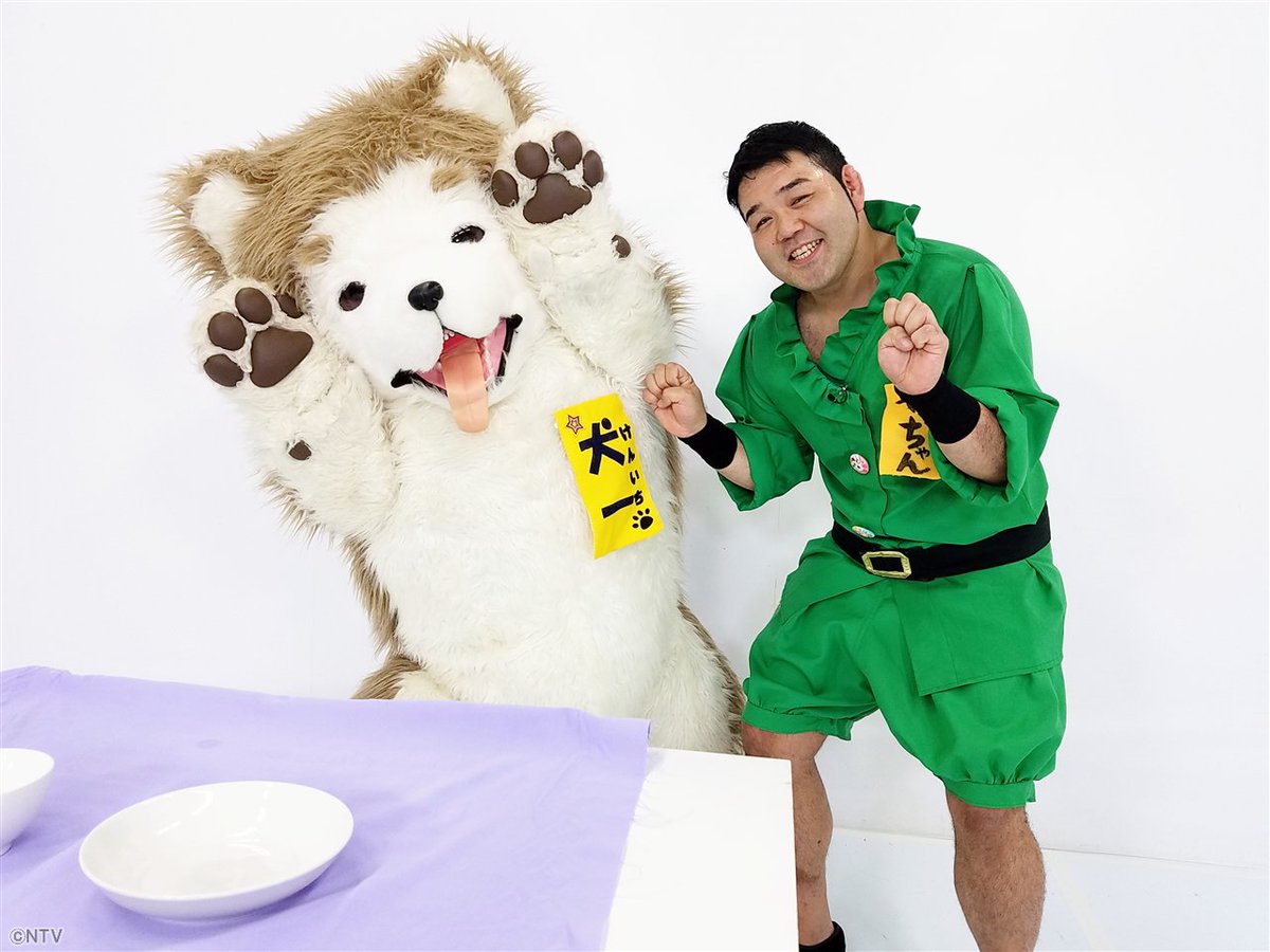 Zip 日テレ 笑いのワンチャンス 犬一とやっちゃん は２回目の登場 おっきな犬の犬一 けんいち くん テーブルクロス引きが得意なんだって 絶妙なタイミングが要求される大技 果たして成功するかな あさ6時50分ごろです 明日のzip