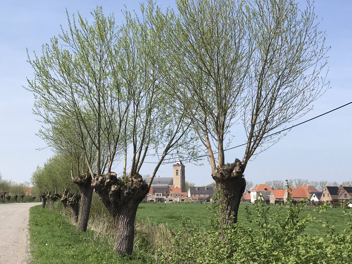 hon_joke's tweet photo. Goedemorgen wens jullie allen een mooie dag toe!
Foto’s van 2018 tijdens het #fietsen #Lapscheure #Middelburg #WestVlaanderen #België https://t.co/Y4Eu7F77at