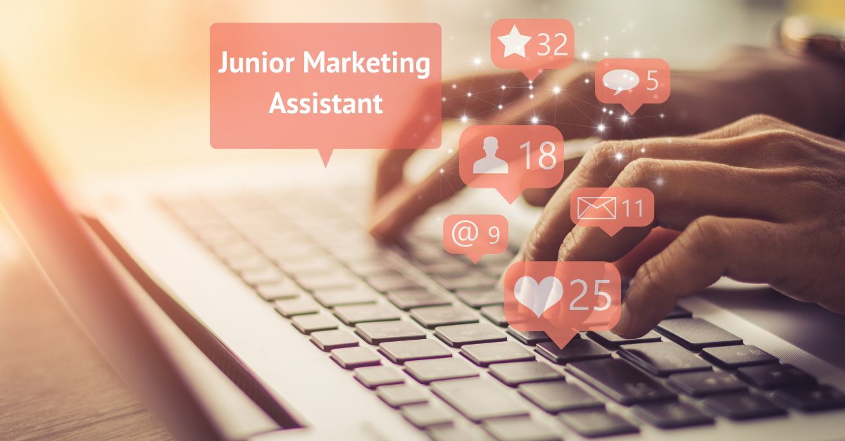 Zin om als junior #marketing assistant aan de slag te gaan bij <a href="/xperthis/">Xperthis</a>? Solliciteer dan nu op xperthisjobs.be! #Jobs