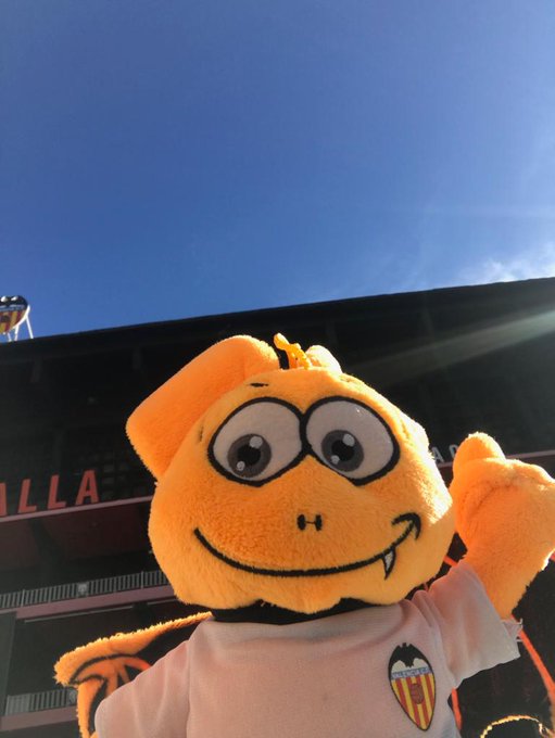 View image on Twitter