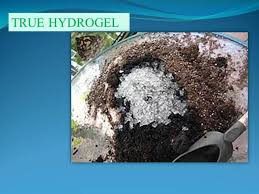 THydrogel's tweet photo. Farming has leveled up with the use of #potassium #polyacrylate.
Prime Laboratories has realized its importance and has made it available to all the agriculturists around the globe.#AgricultureHydrogel #Hydrogelforagriculture #PusaHydrogel https://t.co/APHIdhTk5G