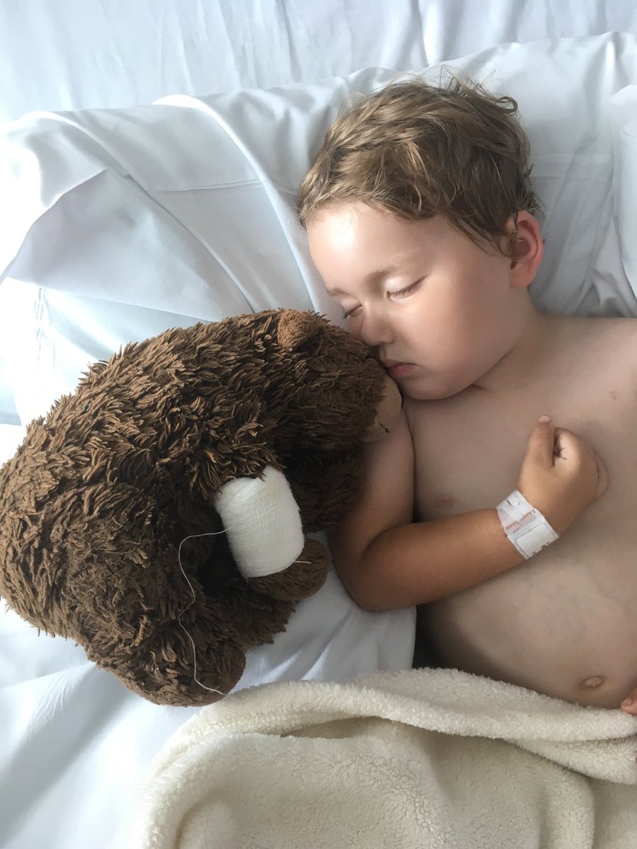 emmyloumac's tweet photo. Please help @SW_Help! My 4 yo is terminally ill and has lost his best friend Boeuf (below). We were @uclh at 12pm on 25/01/19 to prep for my son’s radiotherapy and from there caught a taxi at 14:20 to #LondonWaterloo and then a @SW_Railway train at 15:50 to Whitchurch #findboeuf https://t.co/QpulPRpOpd
