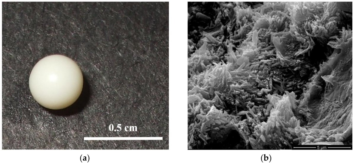 Coatings_MDPI's tweet photo. #mdpicoatings Core/Shell #Gel Beads with Embedded Halloysite Nanotubes for Controlled #DrugRelease https://t.co/njWdTr4zjC @unipa_it @KazanUni https://t.co/DlirgXf10C