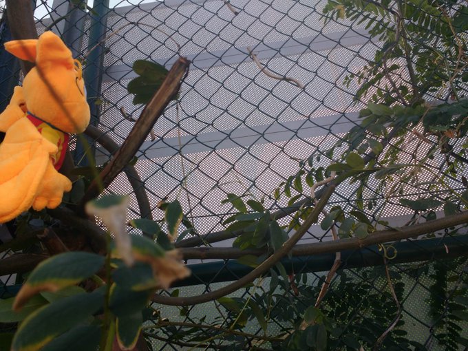 View image on Twitter