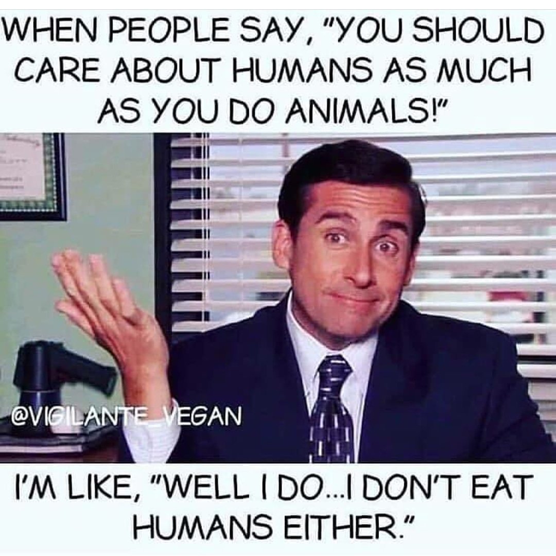 #veganfortheplanet #goveganfortheanimals💚🐷🐮🐣🐖🐗🐰🐔🐟🐬🐋🐵🐐🐏💚 #vegancommunity #veganwoman #vegansofinstagram #veganshare #veganlife #vegans #veganworldshare  #veganforlife #barbaric #morals #compassion