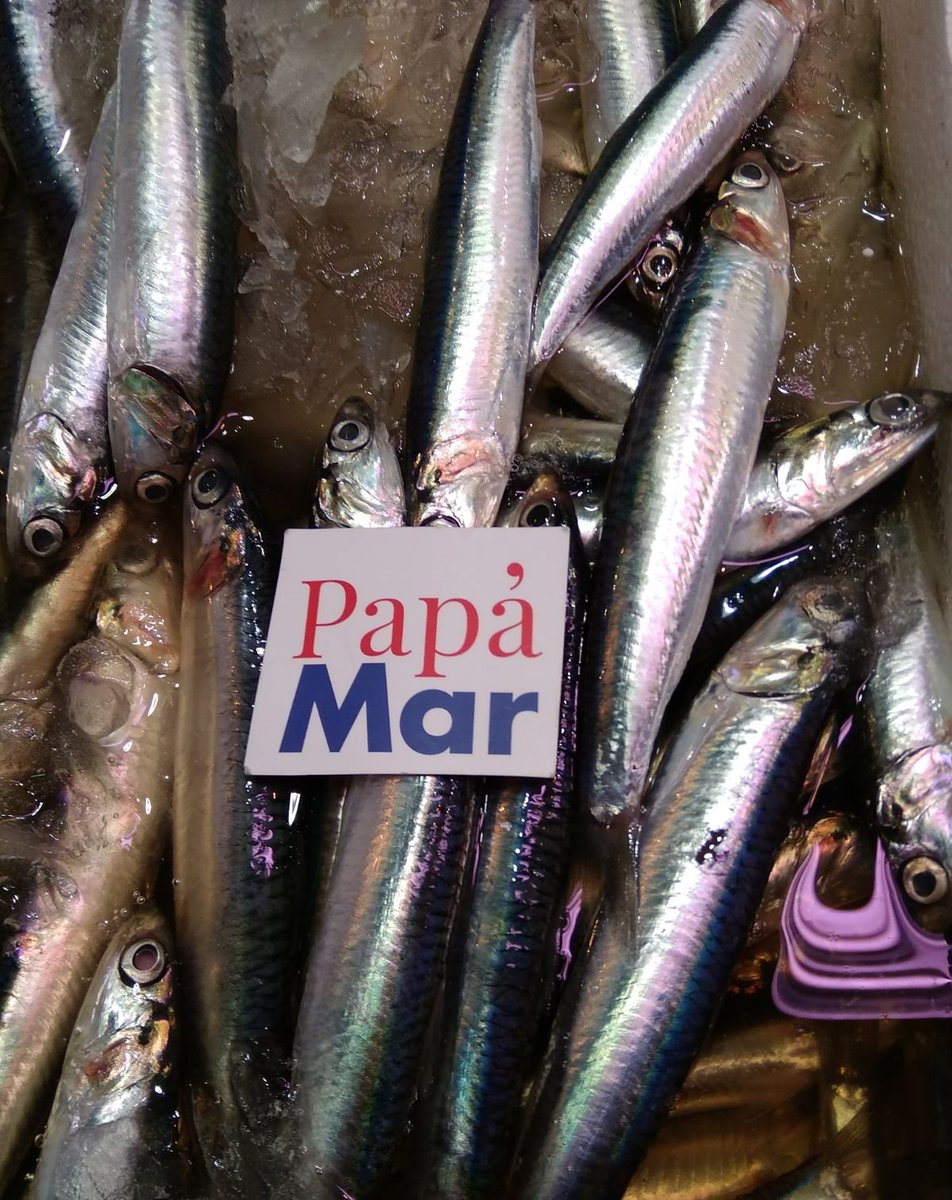 papamarmadrid's tweet photo. ¿Preparad@s para disfrutar de los mejores sabores del mar?  No podemos tener más ganas de ofrecerte los productos más saludables y deliciosos 😁

#FelizMartes #PescaderíaMadrid #Pescado #ProductosFrescos #Fish #Fisher #Madrid #ProductosDeCalidad #Productosdetemporada https://t.co/sycGPrxW1O