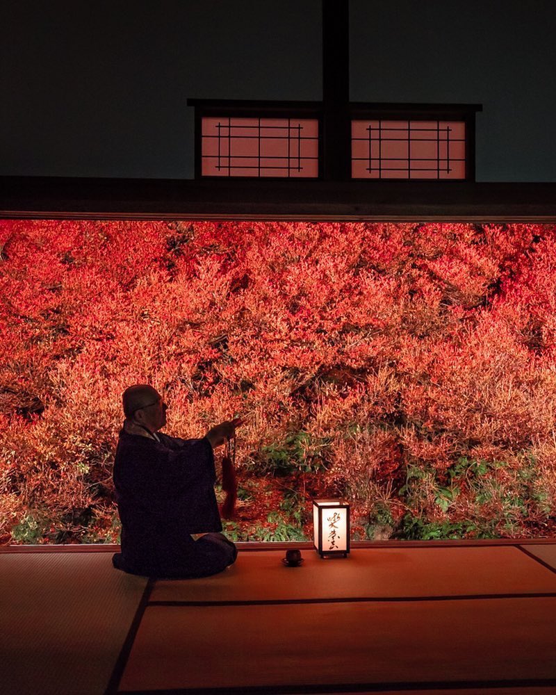 now_nippon's tweet photo. جمال فصل #الخريف 🍁

#اليابان https://t.co/Ekm8XW6uCq