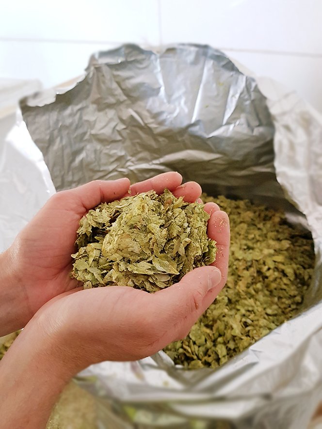 Joseph Holt Brewery tweet media