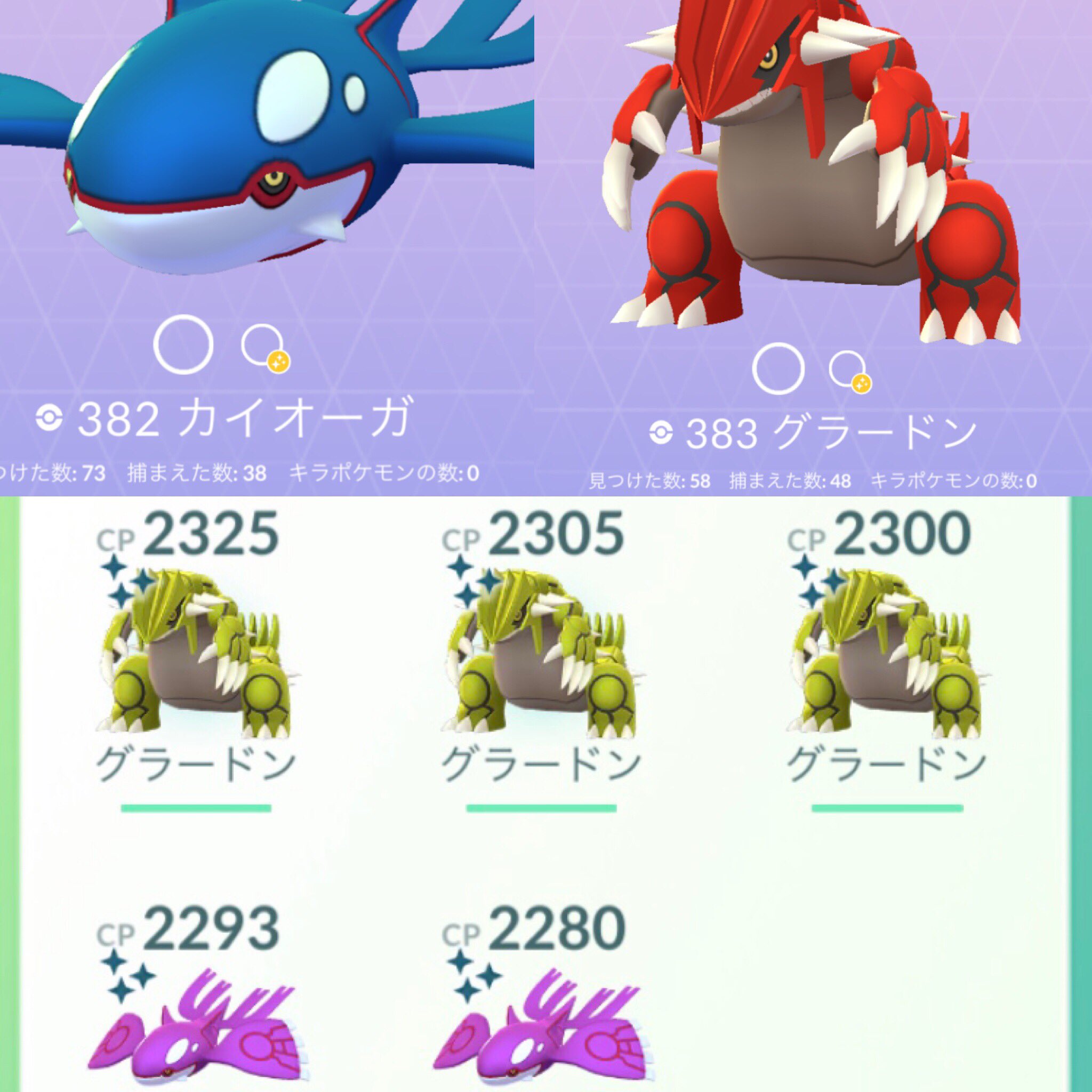 Calicohal En Twitter ホウエンイベント本日で終了 カイオーガ グラードン割とガチでやった結果 カイオーガ73戦中38体捕獲 色違い2体最高個体値は96 グラードン58戦中48体捕獲 色違い3体 最高個体値は100 お疲れ様でした カイオーガの100に逃げられた Calicohal En Twitter ホウエンイベント本日で終了 カイオーガ グラードン割とガチでやった結果 カイオーガ73戦中38体捕獲 色違い2体最高個体値は96 グラードン58戦中48体捕獲 色違い3体 最高個体値は100 お疲れ様でした カイオーガの100に逃げられた
