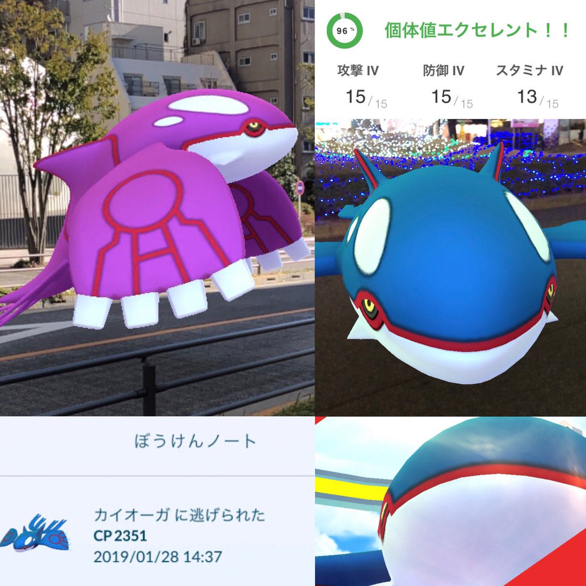 Calicohal En Twitter ホウエンイベント本日で終了 カイオーガ グラードン割とガチでやった結果 カイオーガ73戦中38体捕獲 色違い2体最高個体値は96 グラードン58戦中48体捕獲 色違い3体 最高個体値は100 お疲れ様でした カイオーガの100に逃げられた Calicohal En Twitter ホウエンイベント本日で終了 カイオーガ グラードン割とガチでやった結果 カイオーガ73戦中38体捕獲 色違い2体最高個体値は96 グラードン58戦中48体捕獲 色違い3体 最高個体値は100 お疲れ様でした カイオーガの100に逃げられた