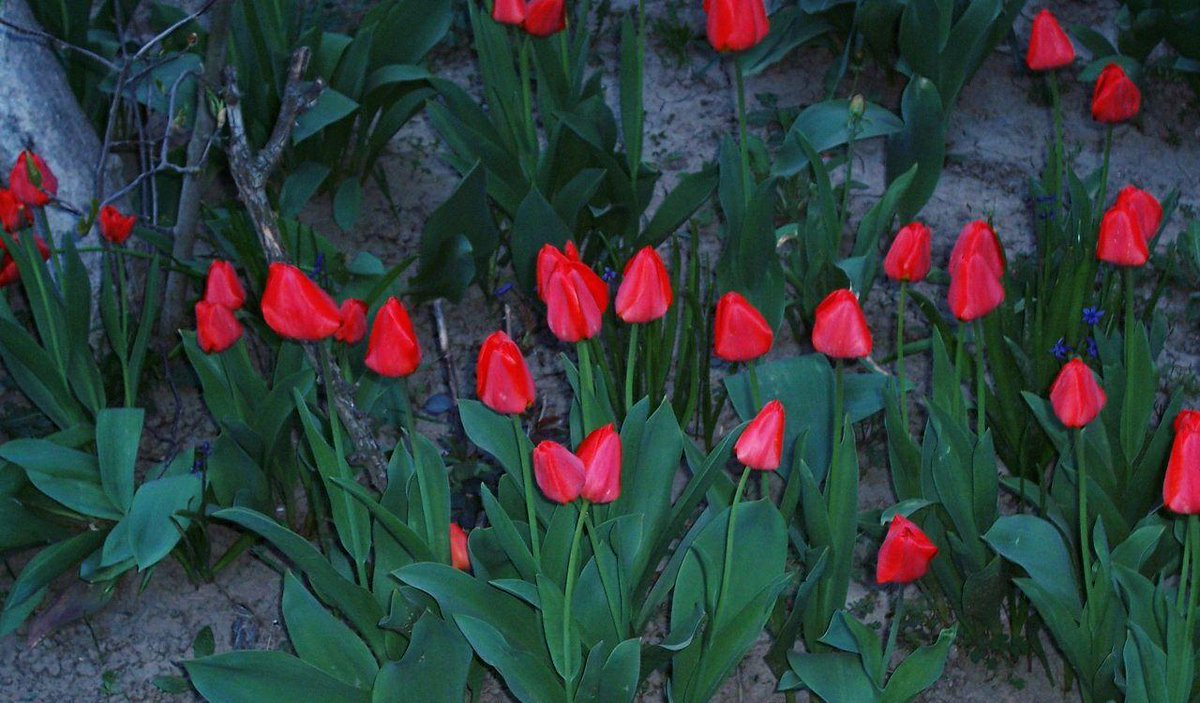 EnthomPhotos's tweet image. BTC ( Bitcoin ) Donation 👉 17fuLzQoGTWtSXLDkbLm1VMPJZMN5RE9yt 👈 🙂  Free download / PMessage to me  🎁 Follow me + Retweet = I Follow Back  🎁  /K28