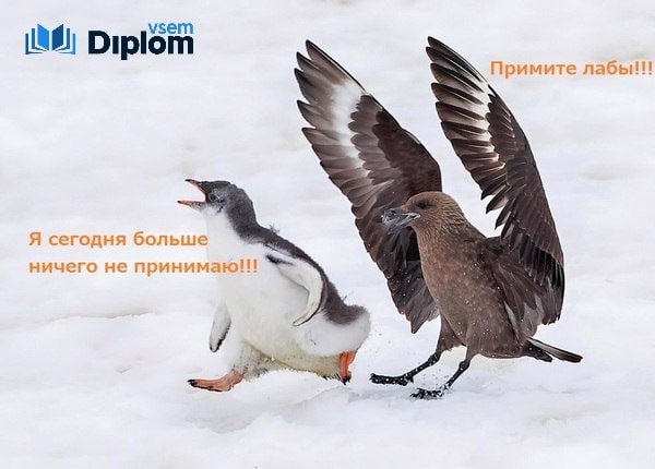 Вечная проблема студенты и преподаватели😊