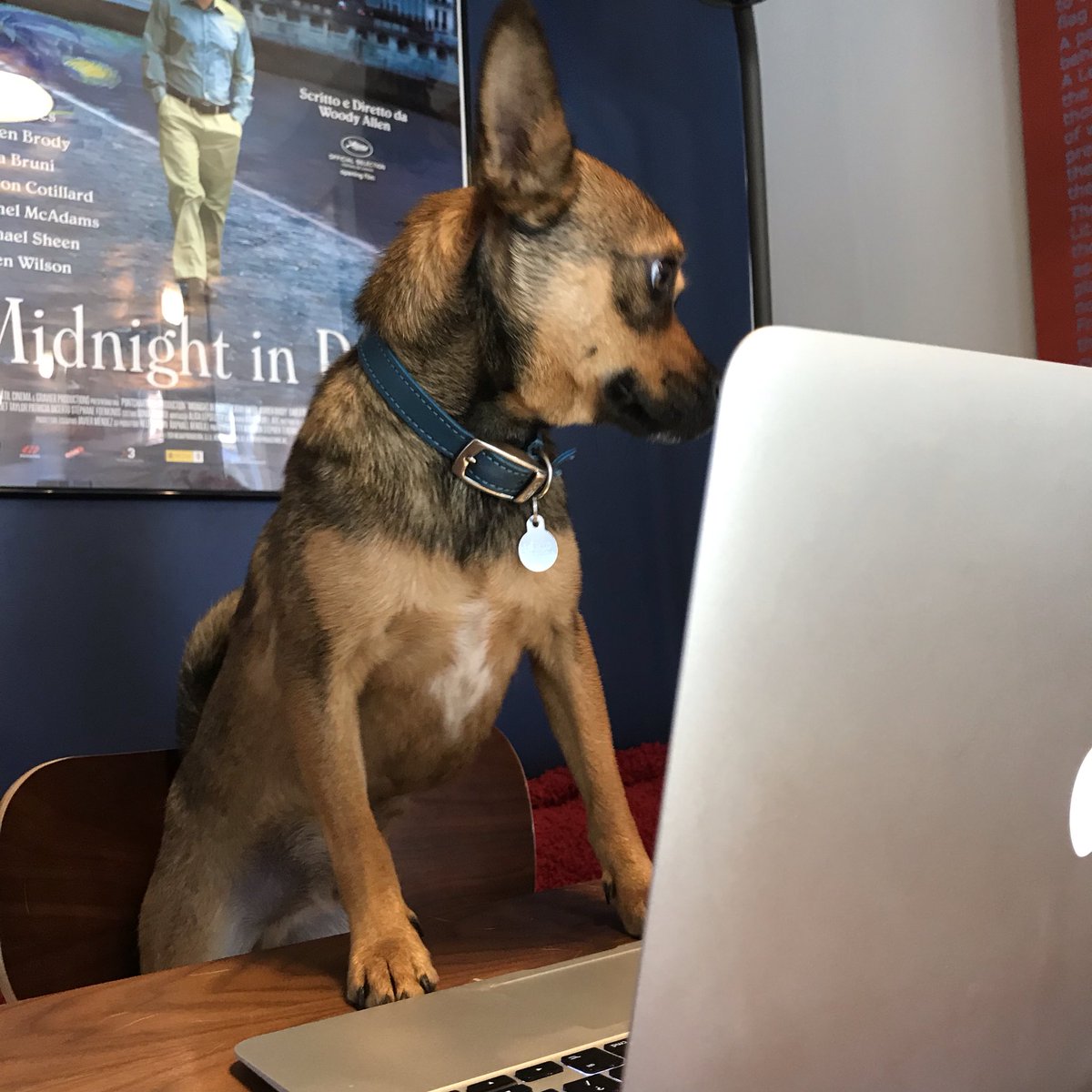 allgoodcopy's tweet image. PABLO'S BONUS QUESTION: When was the moment you knew you had to work in the creative industry and why? #ContentClubUK #PBQ