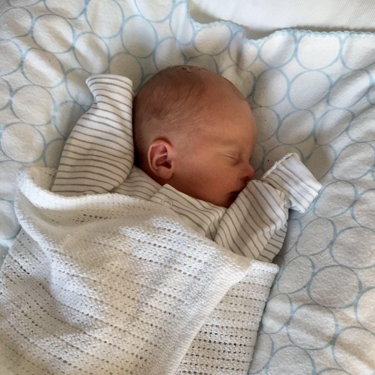 breadandgeller's tweet image. Andrew had a real-life baby last week while Ellie just bought some leopard print roller skates on eBay but everyone’s on their own journey I guess #journeys