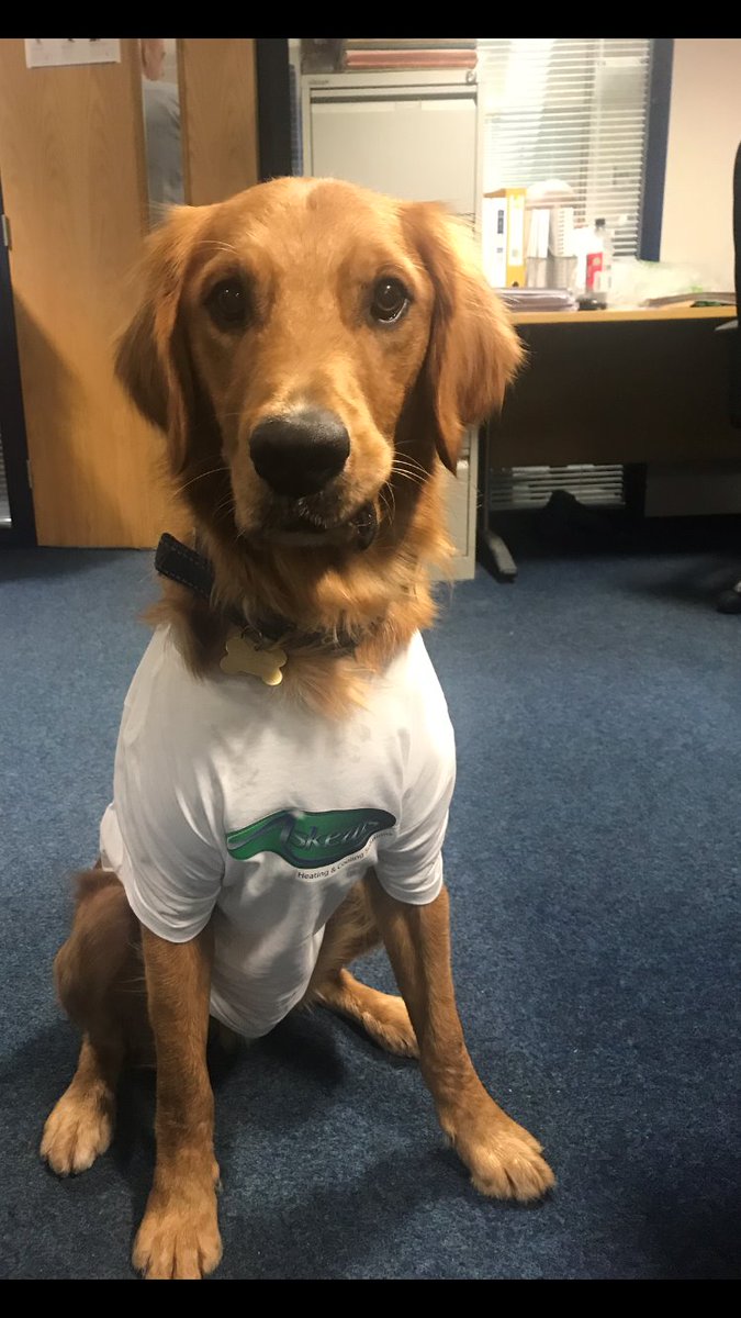 Askews_Ltd's tweet image. With the cold front coming in we all need to take care.
If you have any heating problems....
&apos;Ask who? @Askews_Ltd &apos; ❄️☃️❄️
#snow #heatingproblems