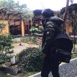 ツイートに含まれる画像