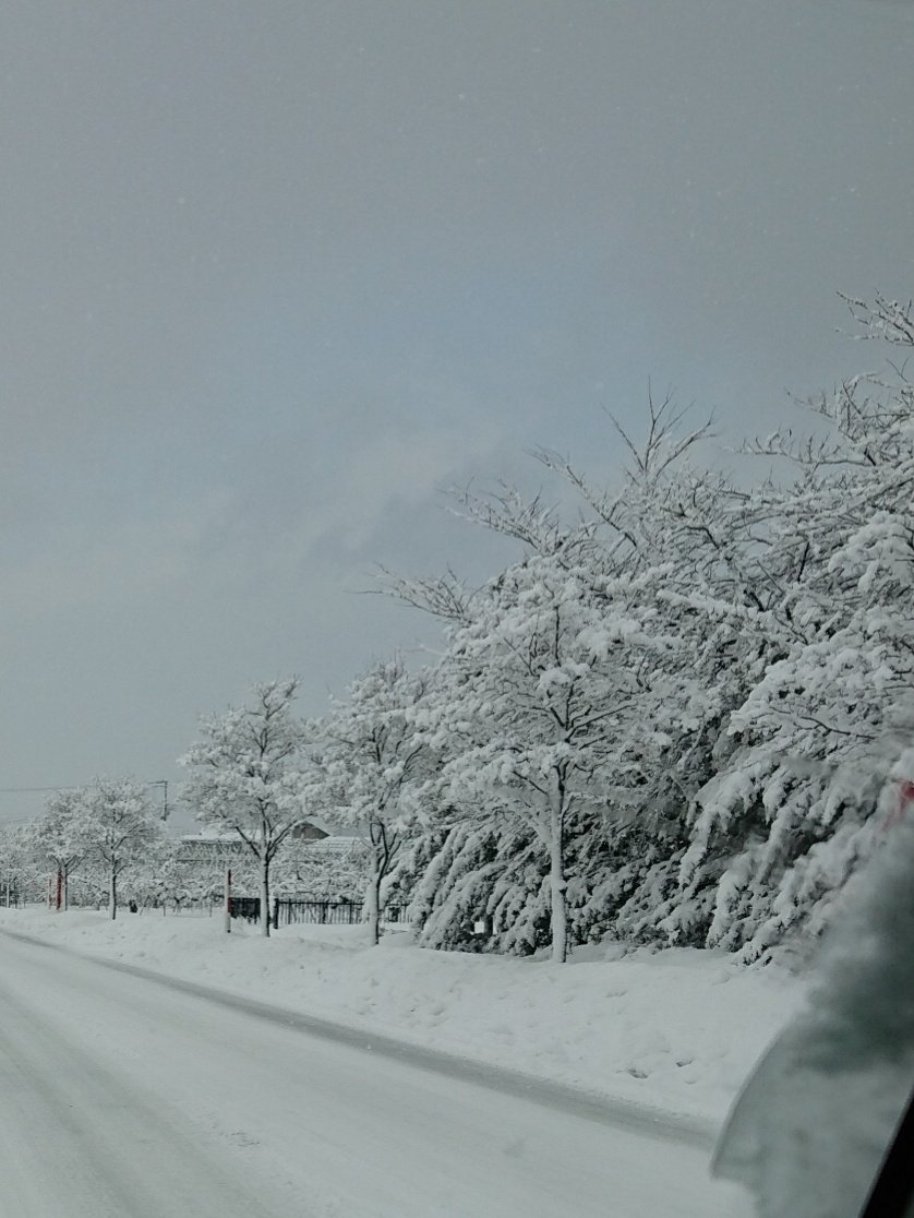 244f51 Kinki Kids 会いたい会いたい会えない 雪景色 ミゾレ 銀色暗号 ちょっと重たいミゾレな雪の晴れ間の青空 夜空から降りてくる 銀色暗号のような雪 雪は厳しいけど とっても綺麗 2人にあいたいなあ