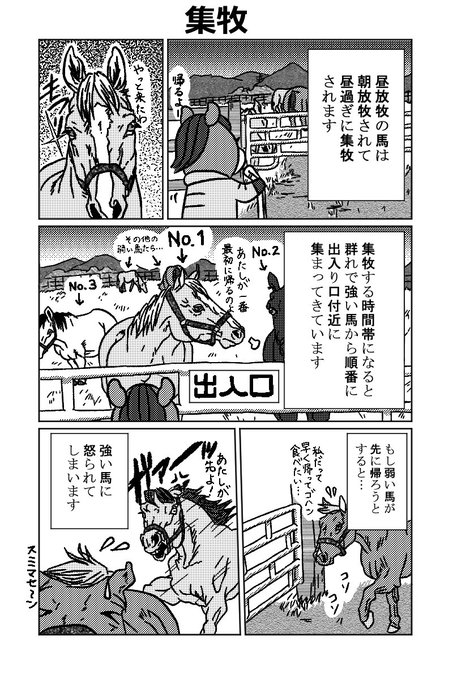 馬 を含むマンガ一覧 リツイート順 ツイコミ 仮 馬 を含むマンガ一覧 リツイート順 ツイコミ 仮