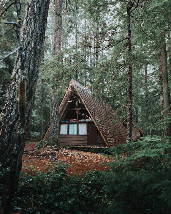 cabin_lust's tweet photo. #cabinporn #cabinlust #cabins #outdoors #cozycabin #offgrid #explore#simplelife#nature#stayandwander#tinyhouse#cabinlife https://t.co/12OxllHsX5