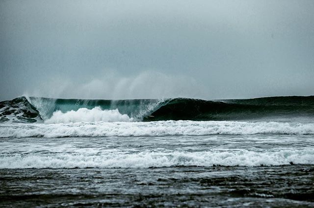 IONactionsports's tweet image. ::: Can you spot @acriere? 📸 by @marioentero #ionaction #ionwater #surfingelements #surfing #surflife #surfari #unitedbystoke bit.ly/2RtikAw