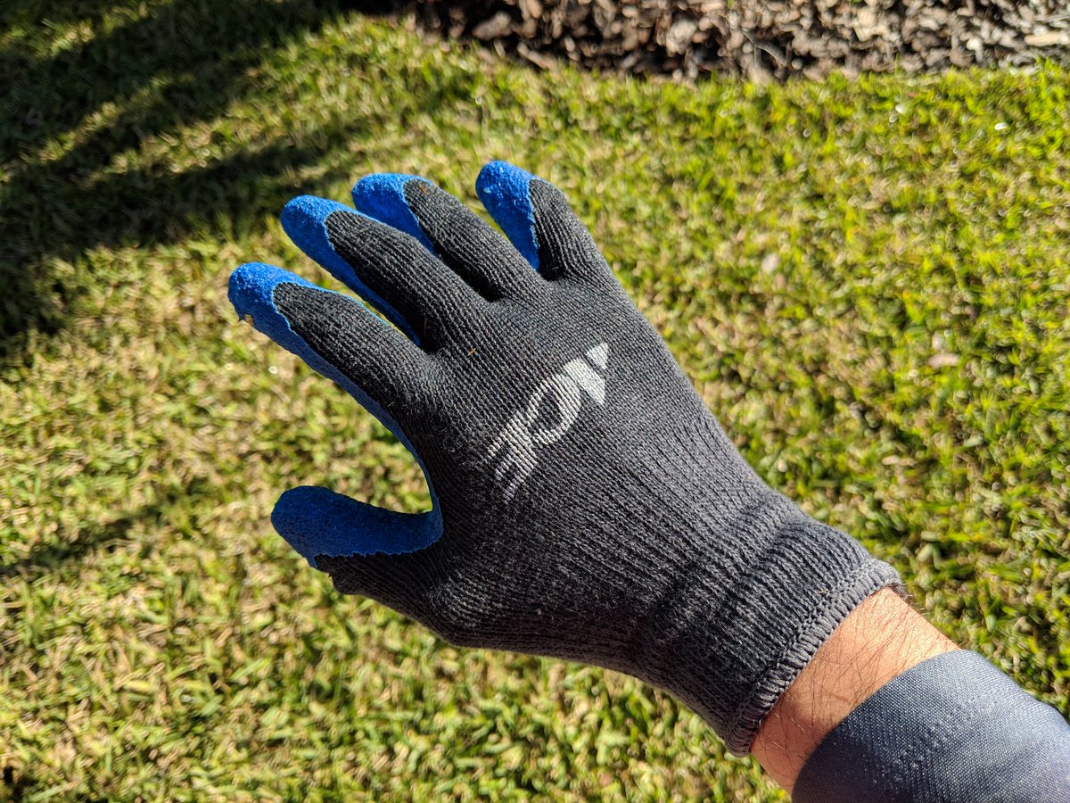 EeZeEpEe's tweet photo. #eezeeTIP When working with a garden hose, keep your hands dry but grippy but wearing rubber (laxex, vinyl, or nitrile) gloves under your work gloves. Another 4 weeks has past. Another liquid fertilizer application. #HomeOwnerLife @GreeneCFert https://t.co/8WEp0KZZI2