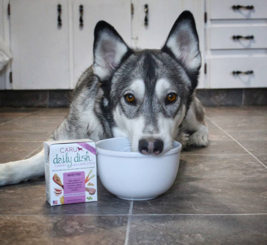 "As soon as I opened the carton I knew Surge was going to love it! The smell got him so excited he could barely wait to eat. <a href="/CaruPetFood/">Caru Pet Food</a>'s Daily Dish Turkey &amp; Lamb Stew is grain free &amp; contains real chunks of turkey &amp; lamb, along with fruits &amp; vegetables." - <a href="/adventure/">ADVENTURES IN WONDERLAND</a>.husky