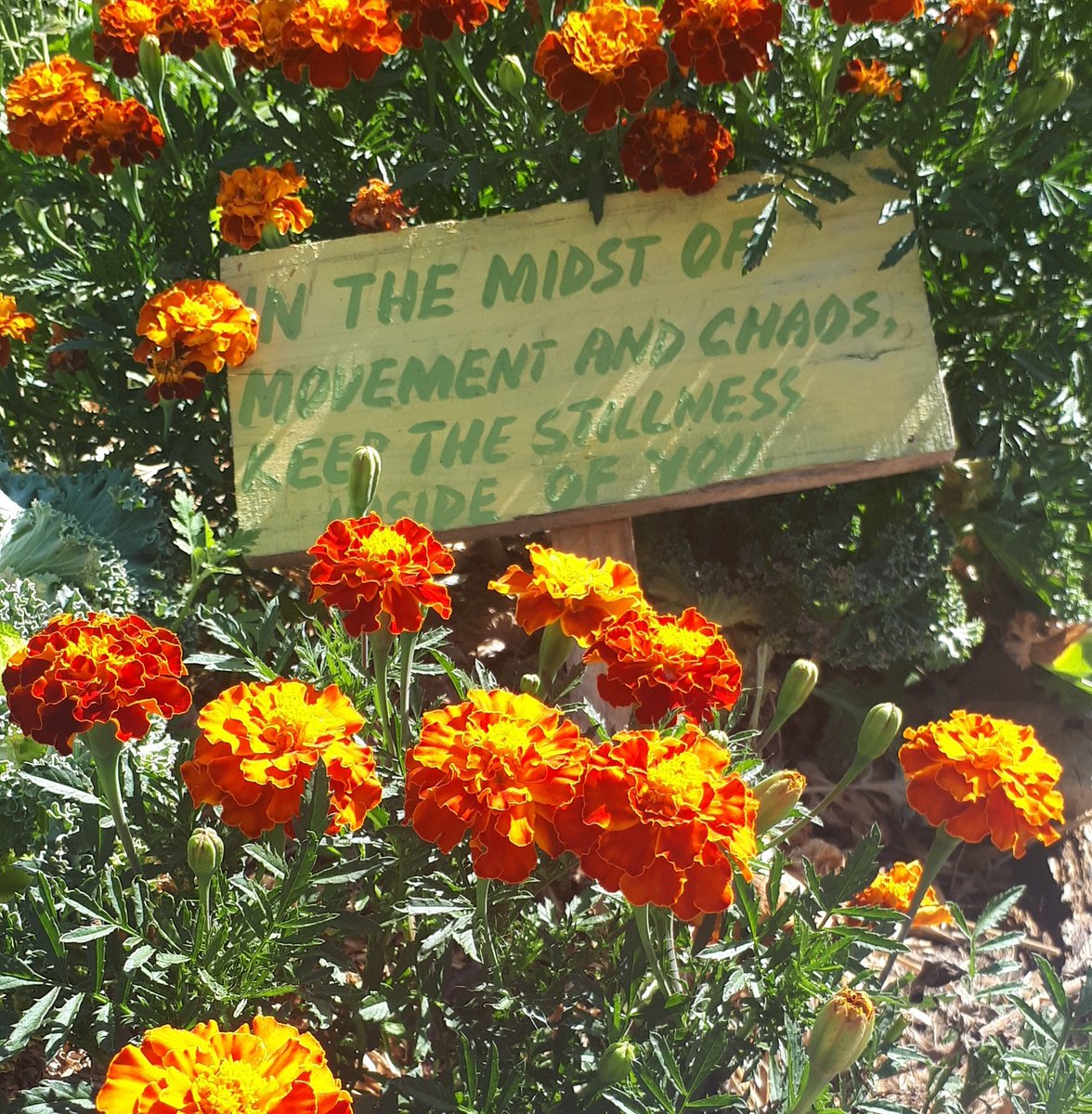 meg_bosman's tweet photo. Inspo from the @SoilForLife gardens... always keep stillness inside of you... https://t.co/P9eugnE1Za