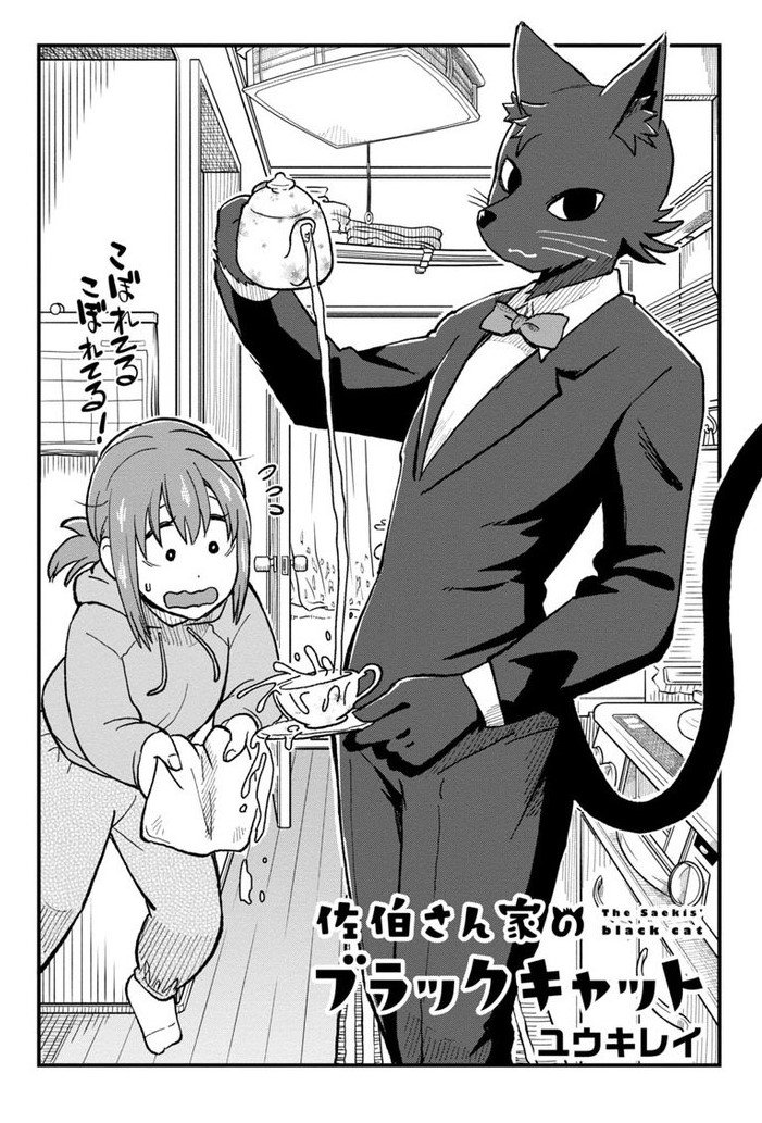 ４５連勤から帰ると飼い猫が人間？になっていた黒猫漫画
＃佐伯さん家のブラックキャット
1話目① 