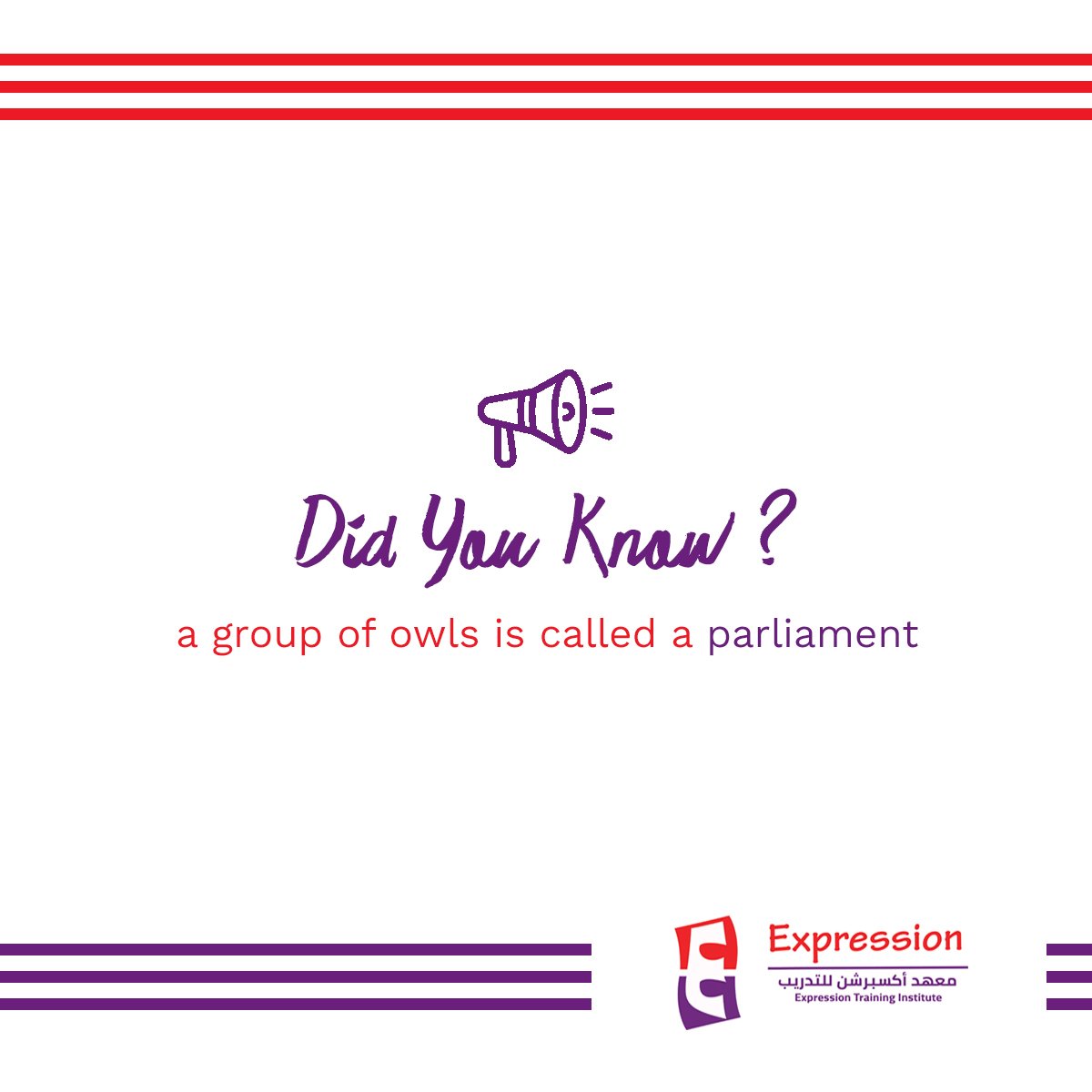 ExpressionTrain's tweet image. Did You Know ?

A Group of owls is called a Parliament.

#DidYouKnow #elearning #expression #English