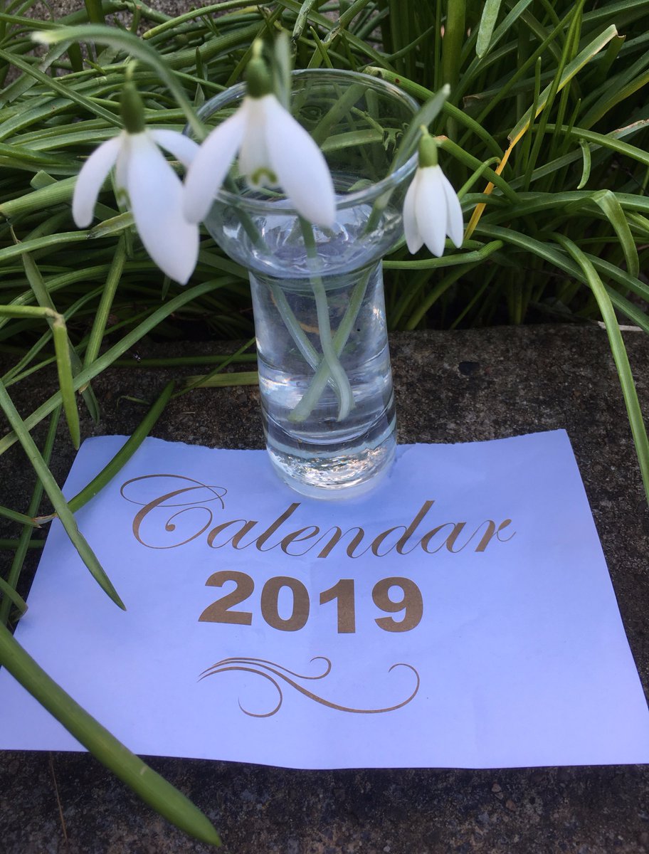 BannockburnHSE's tweet photo. Take a gander at our latest gardening blog . . . read all about snowdrops out on 1st Jan, weeding, wildlife cameras, hundreds of geese &amp; much more! #volunteerblog #blog #gardening #gardeningblog #bannockburn #bannockburnhouse #VisitBBH #stirling

https://t.co/O3czASJp9b https://t.co/10oFbGDI9t
