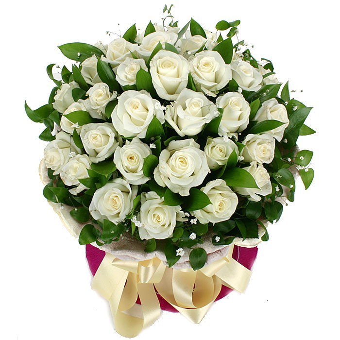 Trez_BDBRW's tweet photo. Wishing a Special Chosen a Happy Birthday. Love ya! @Selena_BDBRW https://t.co/RpdaRVdiNw