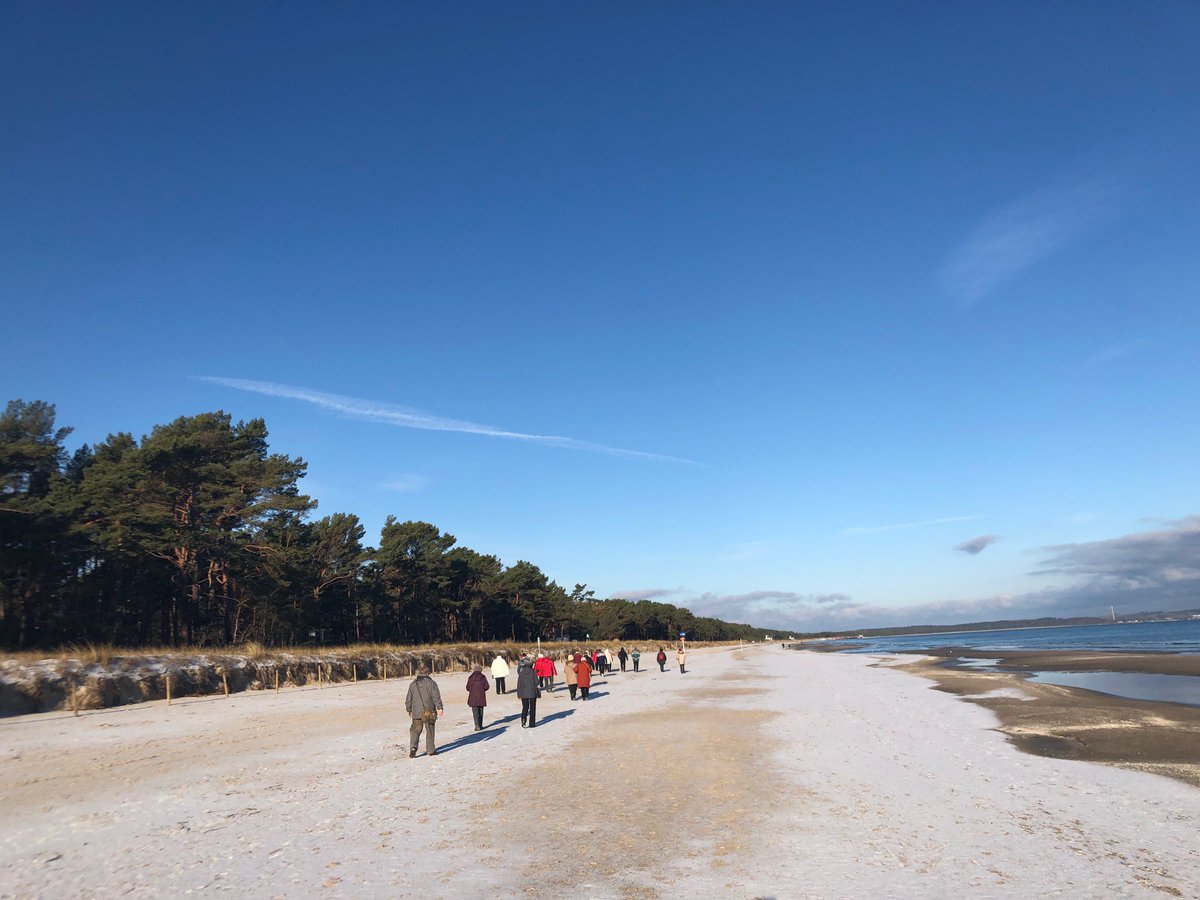 IFARuegen's tweet photo. Während der Gesundheitswoche: Genossen unsere Gruppengäste bei herrlichen Sonnenschein die Strandwanderung & die Strandgymnastik.
#ifa #ifarügen #ifabinz #ifahotels #Sonne #Gesundheitswoche #Strandwanderung #Strandgymnastik #Gruppengäste #Strand #Ostseeliebe #Ostseebadbinz #Rügen https://t.co/FqFEy4gojP
