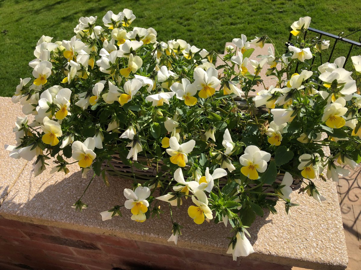 Here when you need us....
Call 01283 819933 ~ Anytime 

Independent Family funeral director of #swadlincote #derbyshire 

#funeral #funeralservice #funeraldirectors