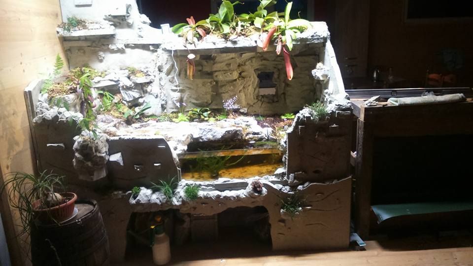 FloraLED_FR's tweet image. Ça bouge sur Terraled ! On reçoit beaucoup de retours photos de terrariums avec nos éclairages TM, n'hésitez pas à partager les vôtres !
#terrarium #terraled #terrariophilie #passion #reptiles