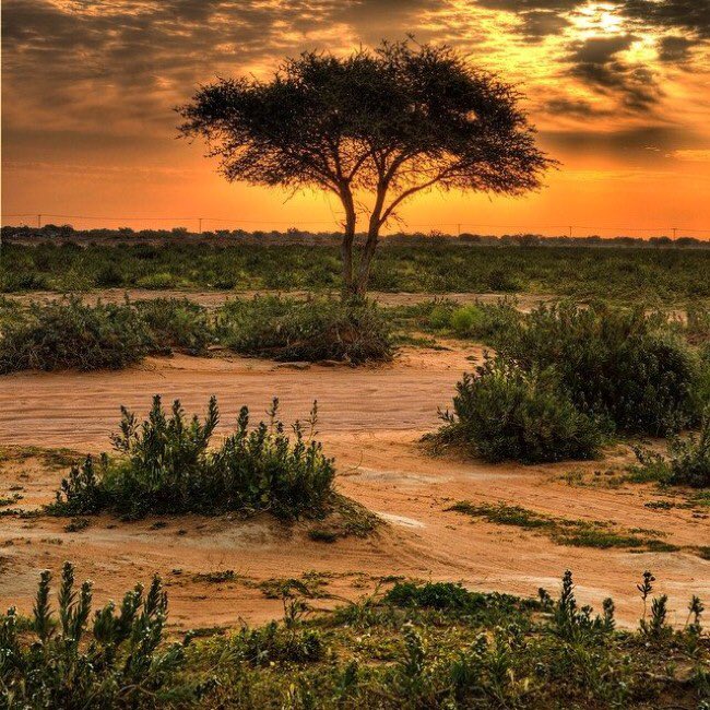 روضة خريم ☘