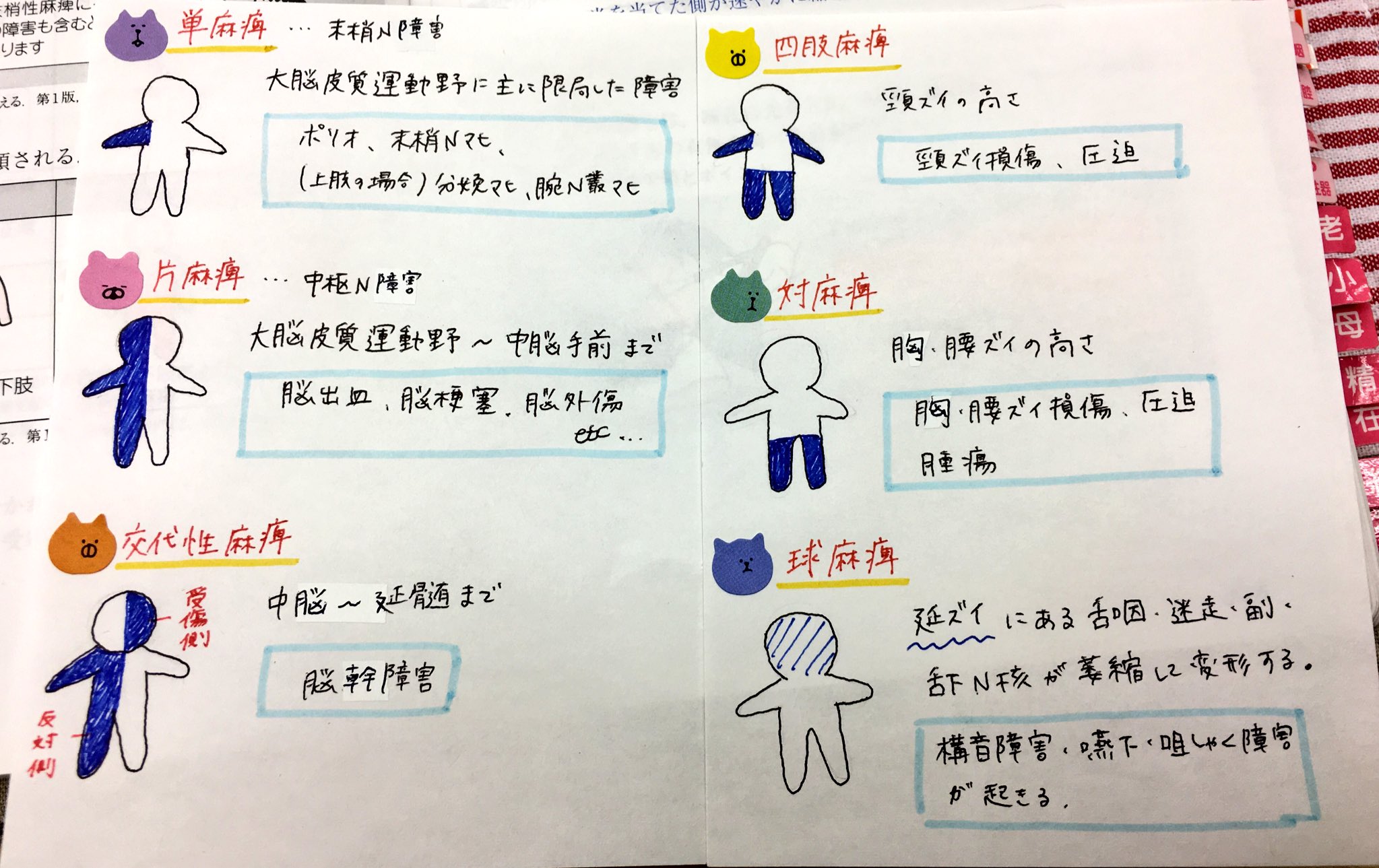 アホな助産師 On Twitter レビューブック 運動麻痺 単麻痺 片麻痺 交代制麻痺 四肢麻痺 対麻痺 球麻痺 第108回 看護師国家試験