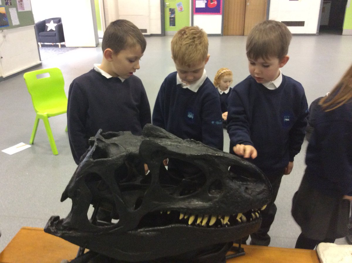 Dinostar’s visit to school gave year 1 the chance to explore dinosaur bones and make their own fossils.