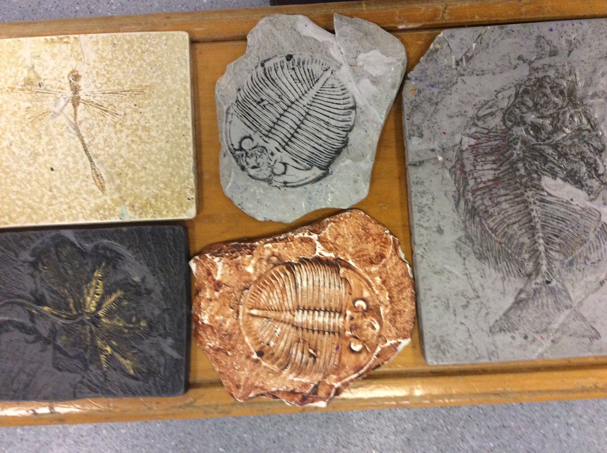 Making brilliant art patterns by fossil rubbing
