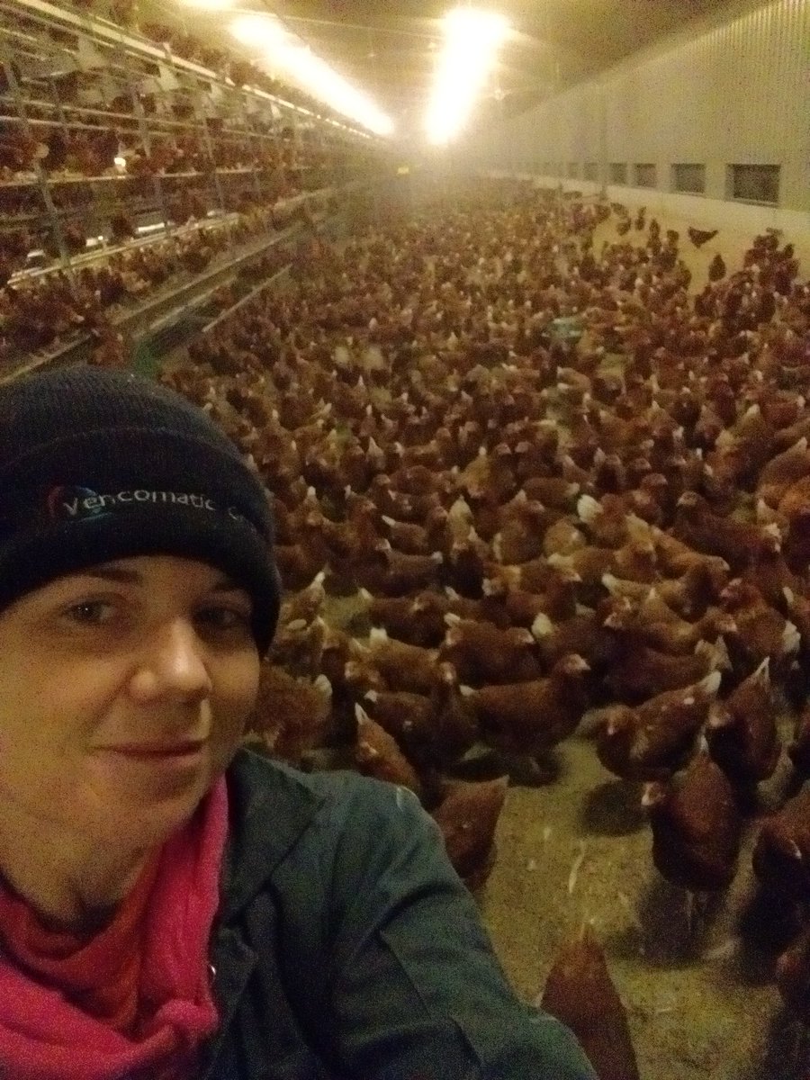 One week in and we're all happy!